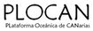 PLOCAN - Consorcio Para La Construcción, Equipamiento Y Explotación De La Plataforma Oceánica De Canarias 