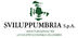 Sviluppumbria - Société Régionale pour la Promotion du Développement Economique de l'Ombrie