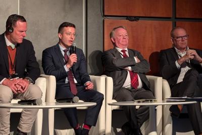 Agrandir l'image 30 sur 36, fenêtre modale