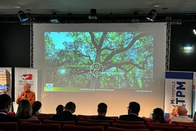 Agrandir l'image 19 sur 21, fenêtre modale