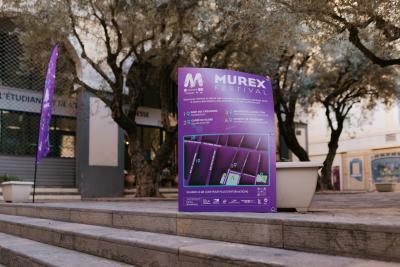 Agrandir l'image 49 sur 66, fenêtre modale