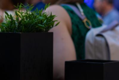 Agrandir l'image 37 sur 58, fenêtre modale